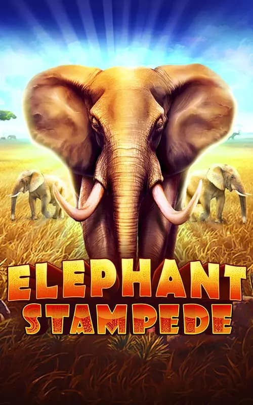 Elephant Stampede