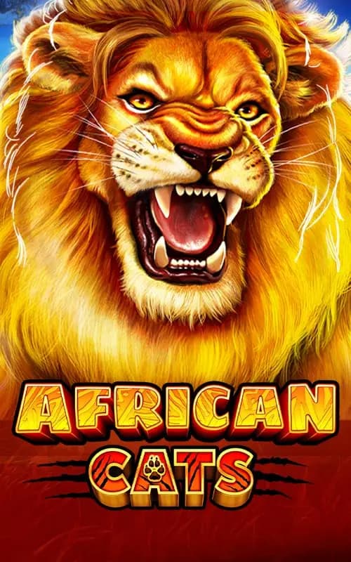 African Cats