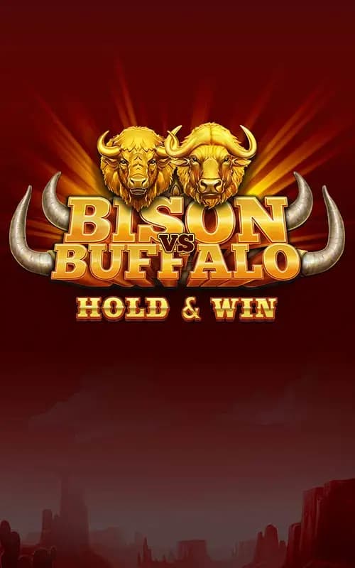 Bison vs Buffalo