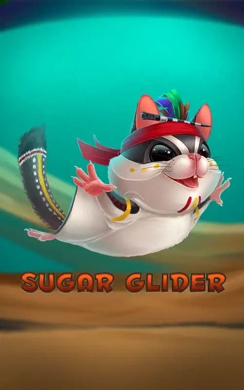 Sugar Glider