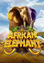 African Elephant