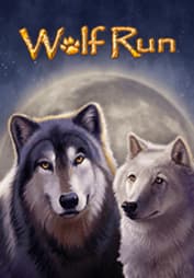 Wolf Run
