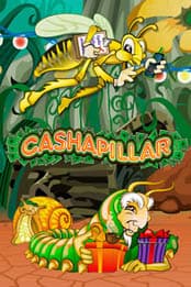Cashapillar