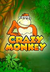 Crazy Monkey