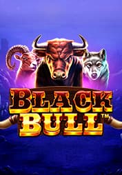 Black Bull