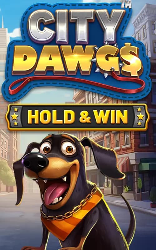 City Dawgs Hold and Win