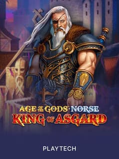 Age of the Gods King of Asgard