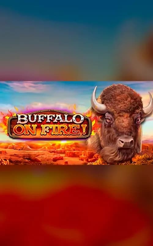 Buffalo on Fire