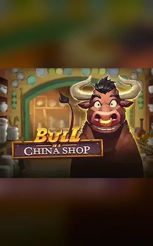 Bull in a China Shop
