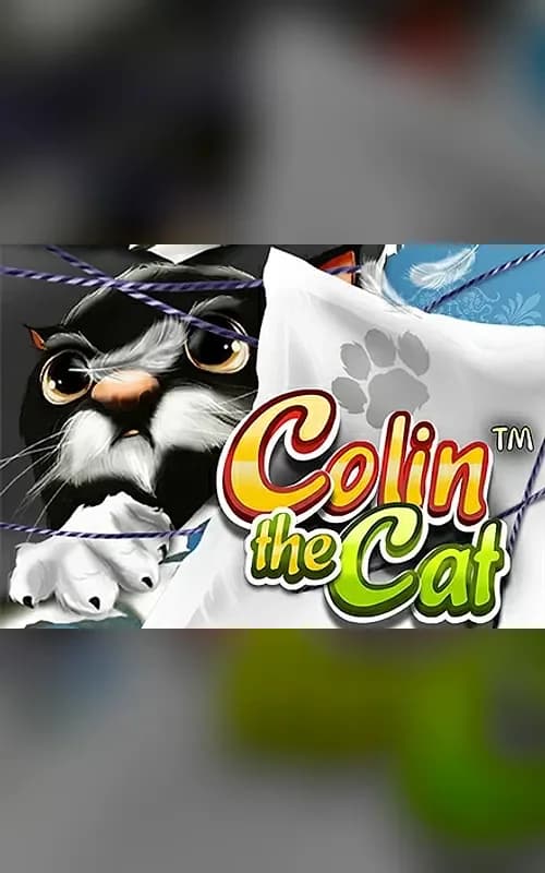 Colin the Cat