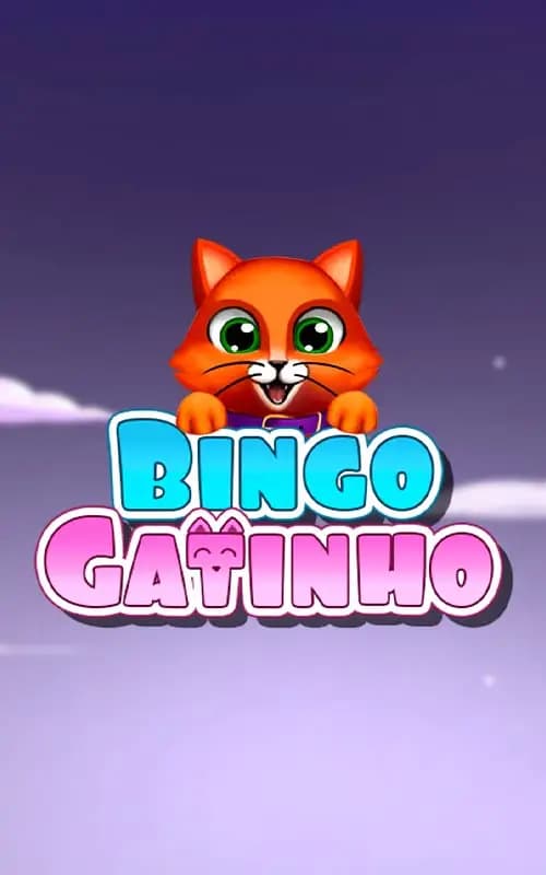Bingo Gatinho