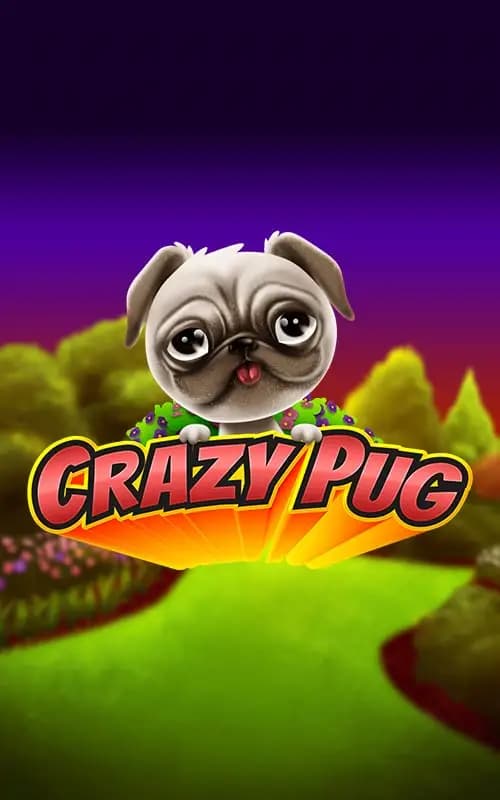 Crazy Pug
