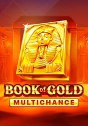 Book of Gold Multichance