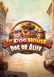 The Dog House - Dog or Alive