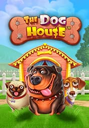 The Dog House