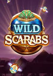 Wild Scarabs